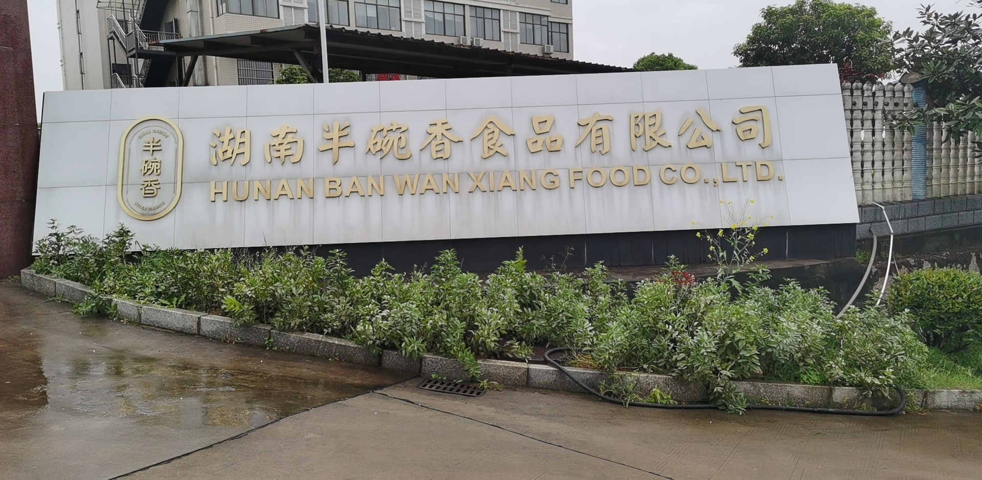 湖南十大品牌子楊環(huán)保地坪漆-長(cháng)沙市雨花區半碗香食品公司施工現場(chǎng)的封面圖片